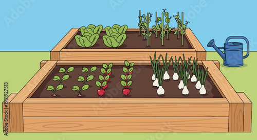 Two wooden raised garden beds filled with various vegetables like radishes, onions, lettuce, and peas growing in neat rows with a watering can nearby in a cartoon illustration style