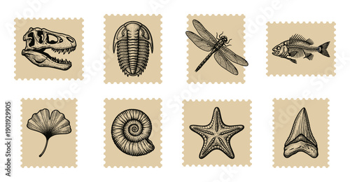 Vintage Hand Drawn Paleontology Fossil Postage Stamp Collection for Scientific Scrapbooking and Education
