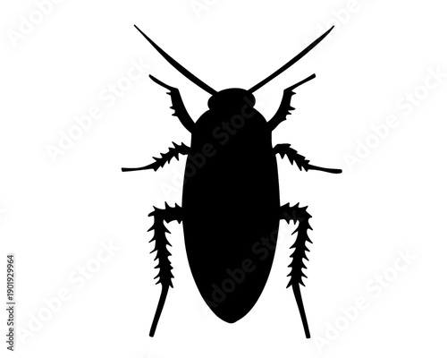 Cockroach silhouette, disgusting insect, vector illustration
