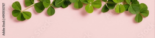 Green Clover Leaves Bordering a Pink Surface with Copy Space for Eco-Friendly Spring Banners Healthy Wellness Background and Minimal Organic Layout