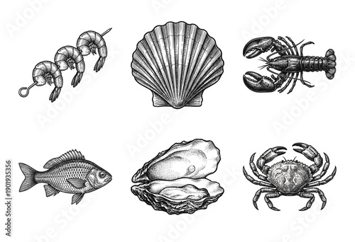 Set of vintage woodcut style seafood illustrations including lobster, shrimp, crab, oyster, scallop, and fish