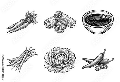 Vintage hand drawn engraving of spring rolls and vegetable ingredients including carrots cabbage beans and chili peppers