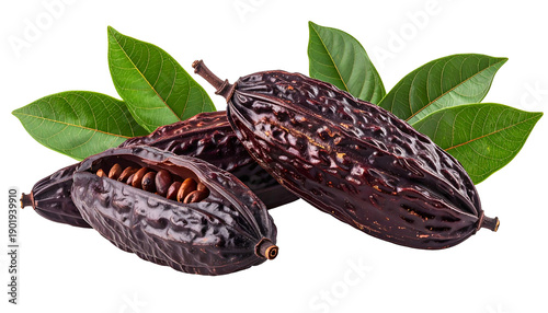 Wallpaper Mural Cocoa pods with green leaves. One pod open showing seeds Torontodigital.ca