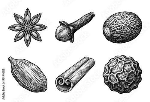 Collection of culinary spices and aromatics in a vintage hand-drawn engraving style including star anise, clove, nutmeg, cardamom, cinnamon, and black pepper.