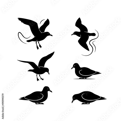 Minimal seagull silhouette black vector icon set on white background