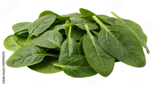Fresh green spinach leaves bunch isolated on transparent background