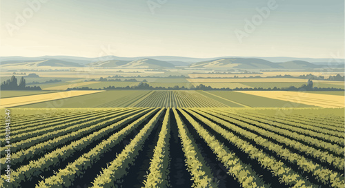 Wide farmland valley landscape illustration featuring long cultivated crop rows stretching across open fields with soft hills and distant horizon, perfect for agriculture concepts, rural development v