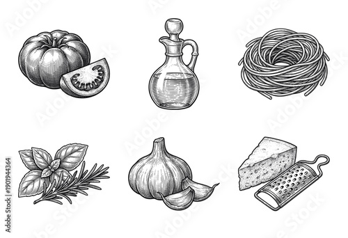 Italian culinary ingredients collection featuring hand drawn engraving style illustrations of pasta, tomatoes, olive oil, garlic, herbs, and parmesan cheese.