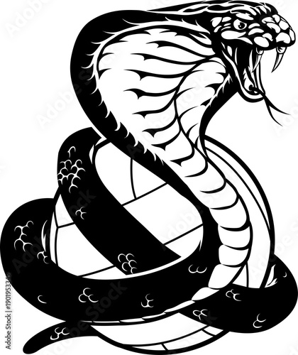 A cobra snake volleyball ma...