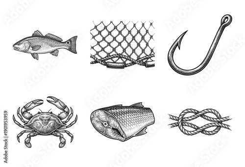 Vintage nautical woodcut illustration collection featuring a whole fish, fishing net, hook, blue crab, filleted steak, and rope knot in an engraved line art style.