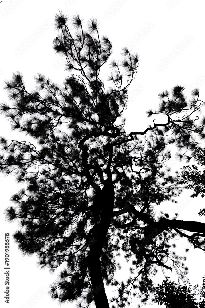 Fototapeta premium Vintage grunge tree silhouette vector illustration featuring black ink branches and floral leaf patterns within a dirty paint texture nature border