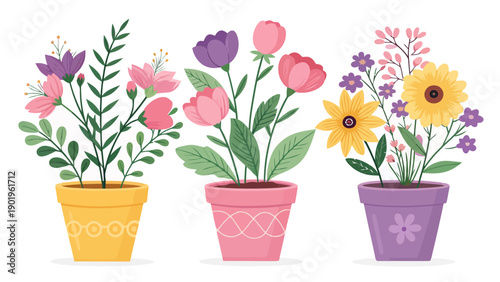 Colorful potted flowers in vibrant modern planters