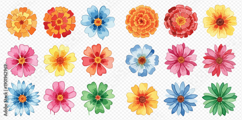 Vibrant watercolor flowers set with various colorful blossoms and petals, ideal for spring and summer designs.