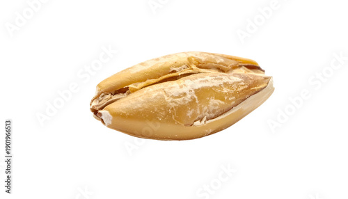 Isolated, close-up shot of a single, toasted, light-brown grain with textural detail