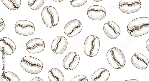 Seamless Pattern of Hand-Drawn Coffee Beans on a White Background