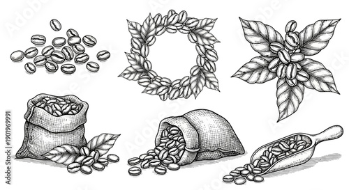 Vintage Coffee Beans Illustration: Bags, Scoop, and Wreath with Leaves