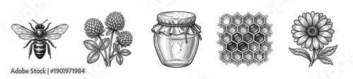 Vintage engraving set featuring a honey bee, wildflowers, honey jar, and honeycomb cell structure in a detailed black and white woodcut style.