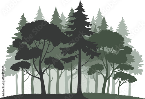 tree silhouettes of various trees on white background