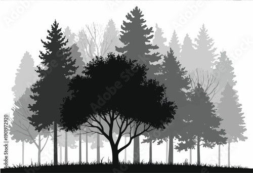 tree silhouettes of various trees on white background
