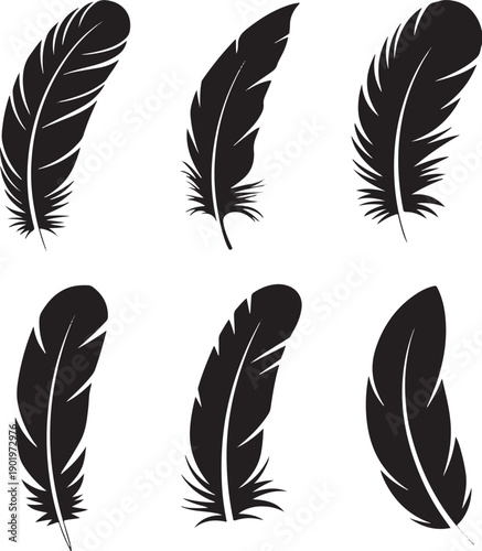 Set of elegant black feather silhouettes isolated on white background