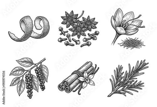 Vintage hand drawn spice and herb collection featuring star anise, cinnamon sticks, rosemary, peppercorns, saffron flower, and citrus peel in detailed engraving style.