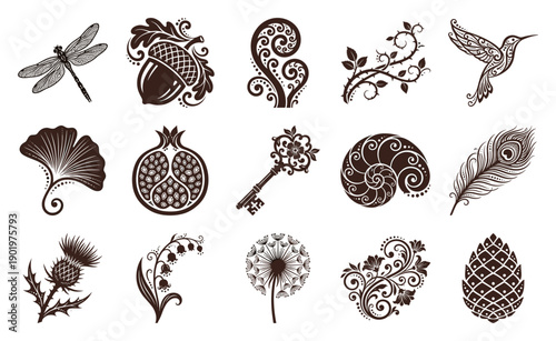 Ornate Woodcut Nature Motifs Engraving Collection for Botanical Branding and Fine Art Design