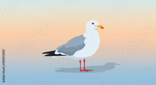 A solitary seagull stands on a surface with a gradient background