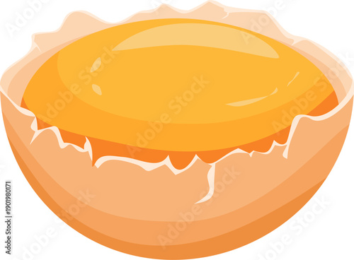 egg yolk vector illustration