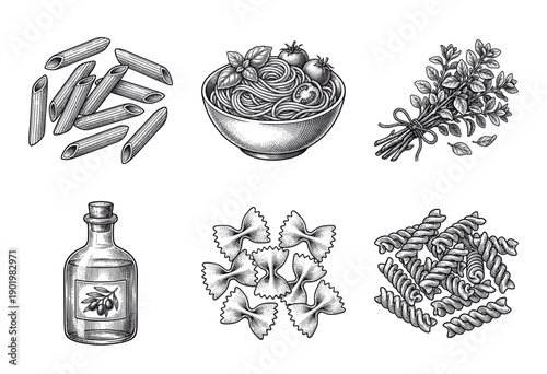 Set of hand drawn italian pasta elements and kitchen ingredients in vintage woodcut engraving style including penne spaghetti herbs olive oil farfalle and fusilli.