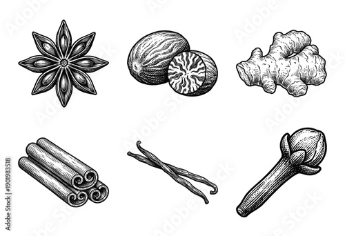 Set of spice and flavoring ingredients in vintage woodcut engraving style including star anise, nutmeg, ginger, cinnamon, vanilla beans, and clove.