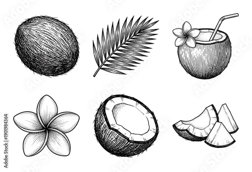 Vintage hand drawn coconut collection featuring whole fruit half shell palm leaf and tropical plumeria blossom in engraved woodcut style