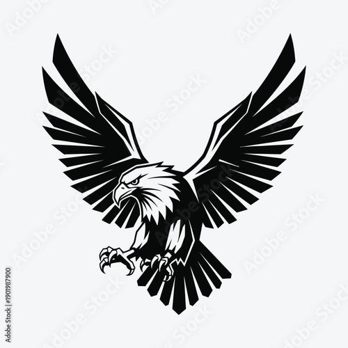 Black and white eagle with wings spread in flight bird