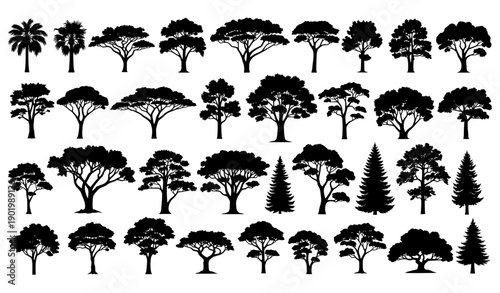 Detailed tree silhouettes vector set with tropical forest desert and mountain trees isolated on white