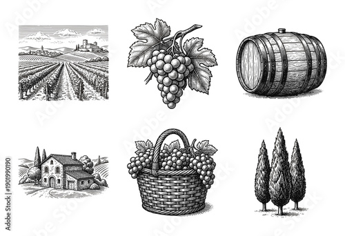 Vintage woodcut illustration collection of vineyard landscapes, wine barrels, and grape harvests in a rustic Mediterranean etching style.