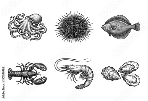 Vintage engraving style marine life collection featuring octopus sea urchin flounder lobster shrimp and oysters in a detailed monochrome line art illustration.