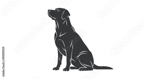 A striking silhouette of a black Labrador Retriever dog sitting attentively and looking upwards against a clean white background.
