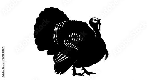 A striking black silhouette of a male turkey with its tail feathers fanned out majestically against a white background.