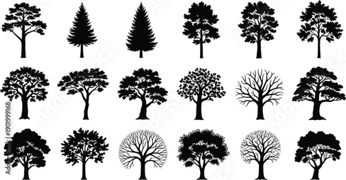 Large collection of detailed tree silhouettes including pine and deciduous species, black forest vector icons set for landscape design