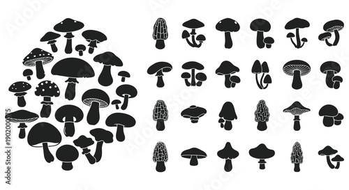A collection of diverse black mushroom silhouettes showcasing various shapes and sizes on transparent background high quality professional detailed modern elegant