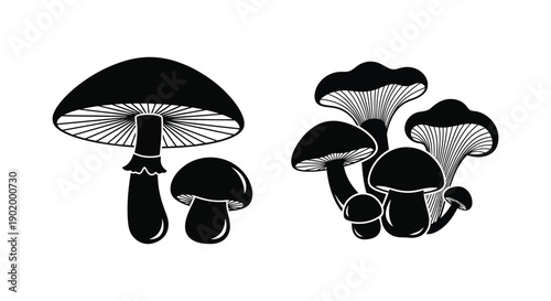A detailed illustration of multiple mushrooms in a striking black silhouette on transparent background high quality professional modern elegant stylish clean
