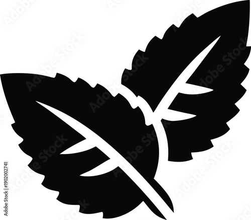 mint leaf serrated edge silhouette vector icon illustration on transparent background