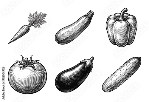 Collection of fresh garden vegetables hand drawn in vintage woodcut and engraving style including tomato carrot and bell pepper
