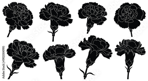 A collection of black carnation silhouettes in varying arrangements ideal for design projects on transparent background high quality professional detailed modern
