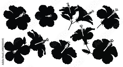 A collection of black hibiscus flower silhouettes with stems and leaves ideal for design work on transparent background high quality professional