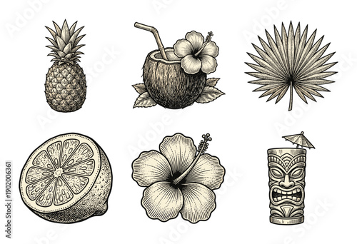 Tropical and tiki culture illustration set featuring pineapple, coconut cocktail, palm leaf, citrus fruit, hibiscus flower, and tribal totem pole in vintage woodcut style.