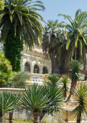 Estate with tropical trees and palms of park Dendrarium in Sochi. 