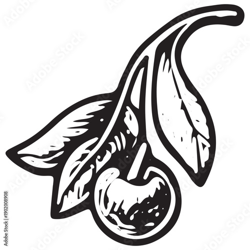 Vintage Cherry Branch Doodle Engraving Retro Botanical Fruit Hand Drawn Kitchen Line Art Illustration