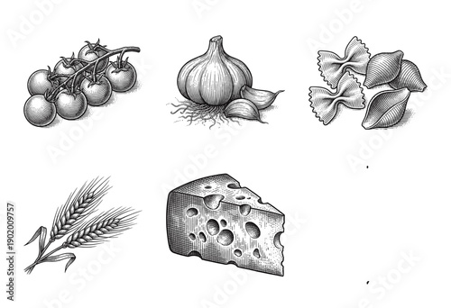 Collection of hand drawn vintage engraving illustrations featuring italian food ingredients tomatoes garlic pasta wheat and swiss cheese