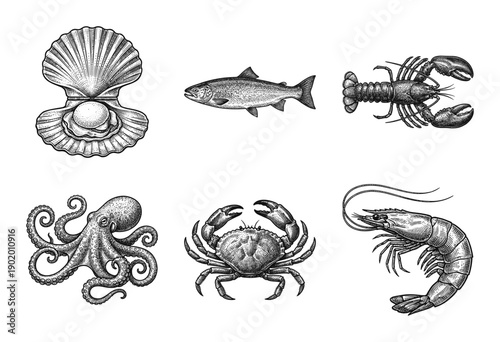 Collection of vintage hand drawn seafood illustrations featuring scallop fish lobster octopus crab and shrimp in a woodcut engraving style.