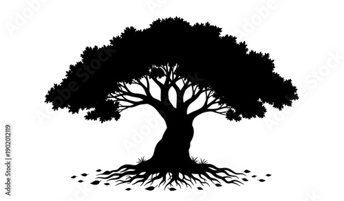 Mature twisted tree silhouette with layered roots textured canopy and fallen leaf debris isolated vector